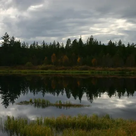 Hillankukka Шале