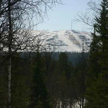 Hillankukka *