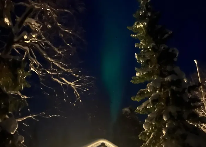 Alpstuga Hillankukka *